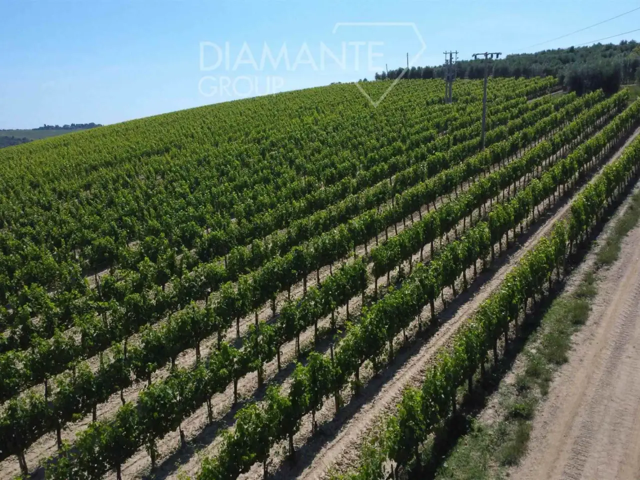 Azienda agricola in , Montalcino, {3} - Foto 2