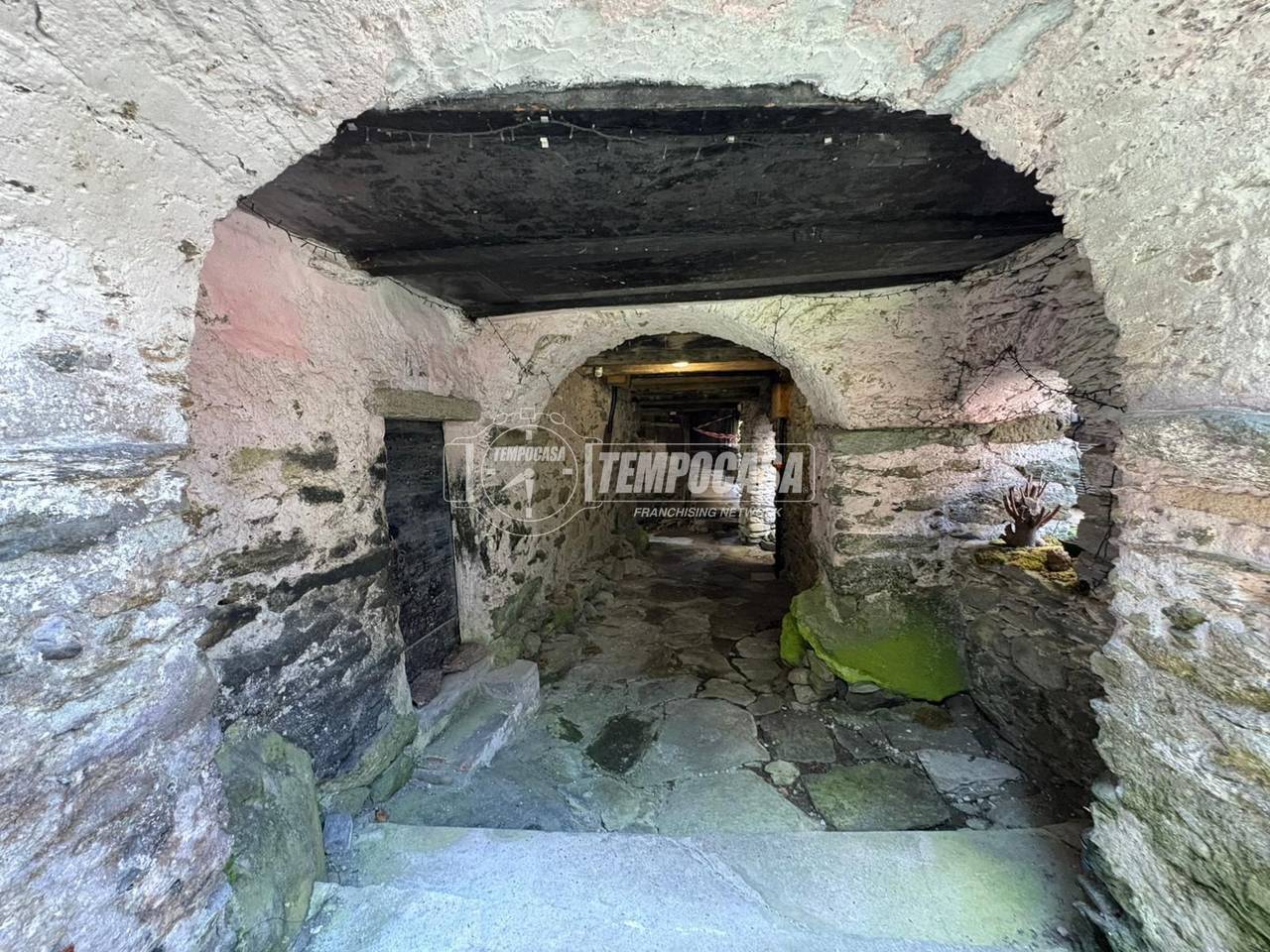 immagine annuncio 11 di 14