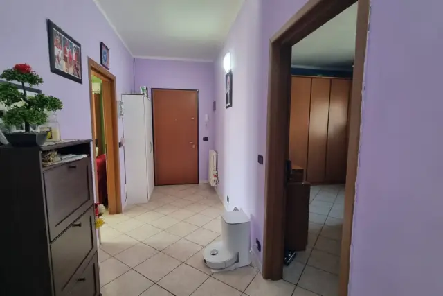 insertion image