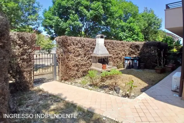 insertion image