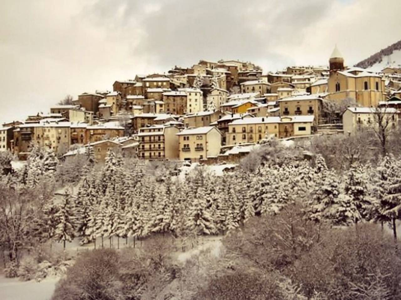 immagine annuncio 7 di 8