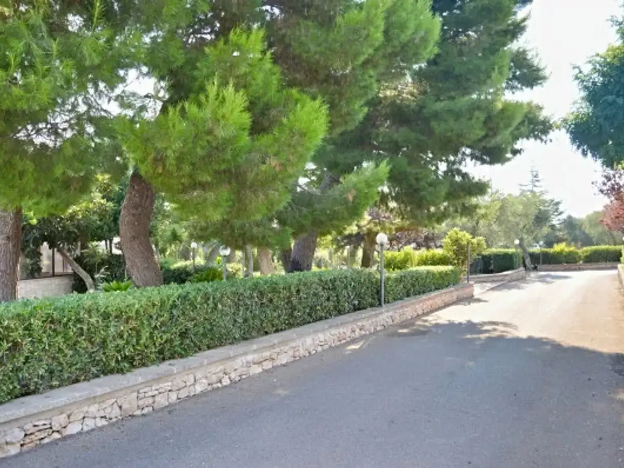 Negozio in Via Ferrone, Castellana Grotte, {3} - Foto 2