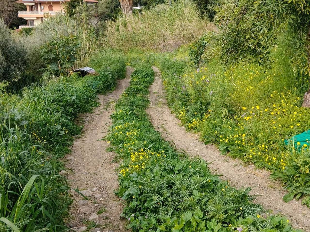 immagine annuncio 10 di 13