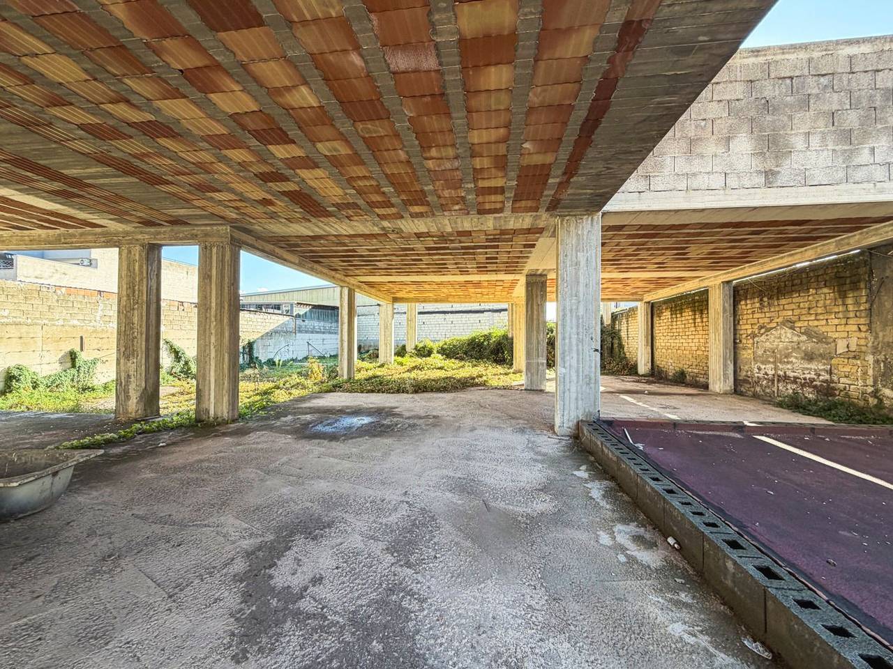 immagine annuncio 4 di 14