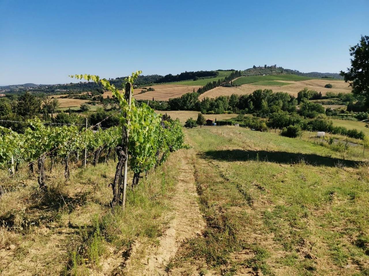 immagine annuncio 4 di 14