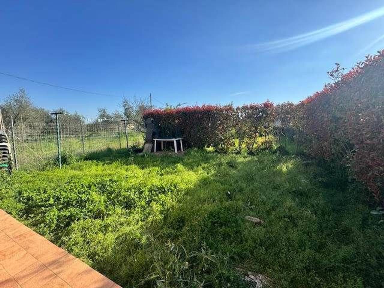 immagine annuncio 10 di 14