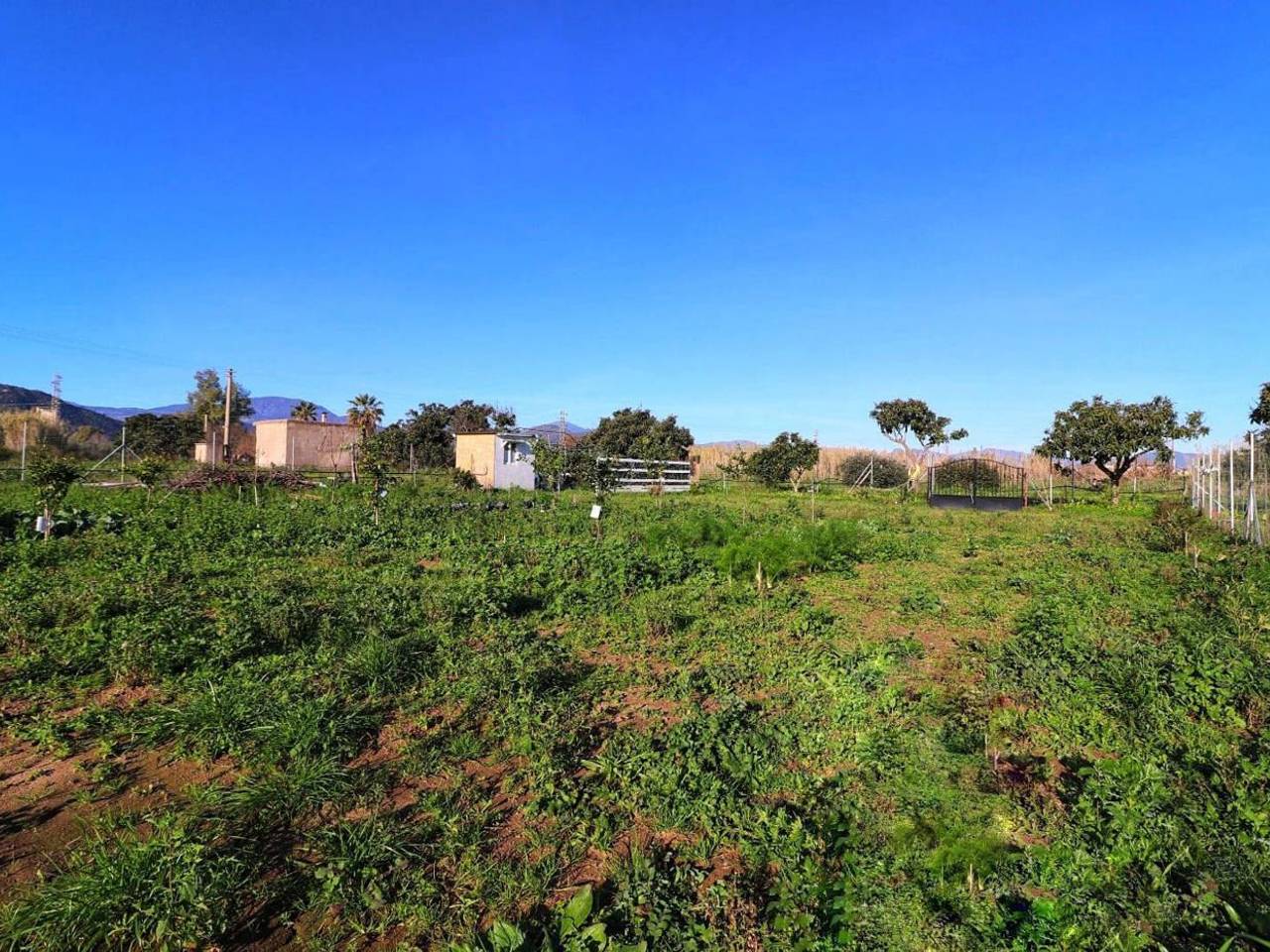 immagine annuncio 4 di 13