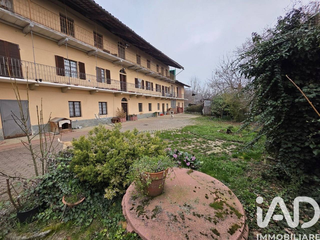 immagine annuncio 1 di 15