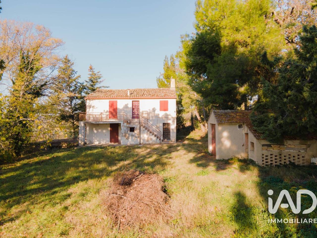 immagine annuncio 1 di 15