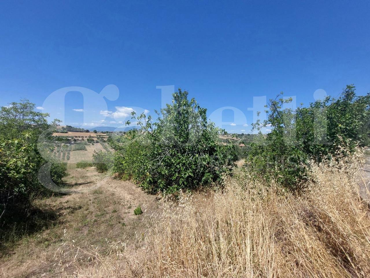 immagine annuncio 2 di 4