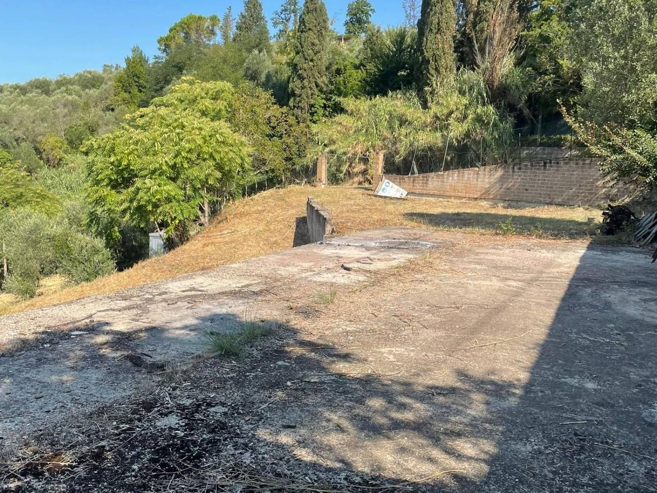 immagine annuncio 5 di 9