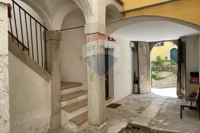 insertion image