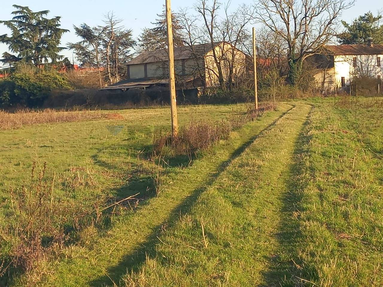 immagine annuncio 6 di 14