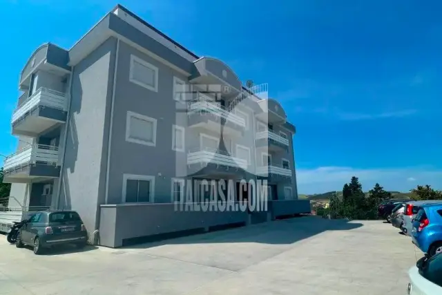 insertion image