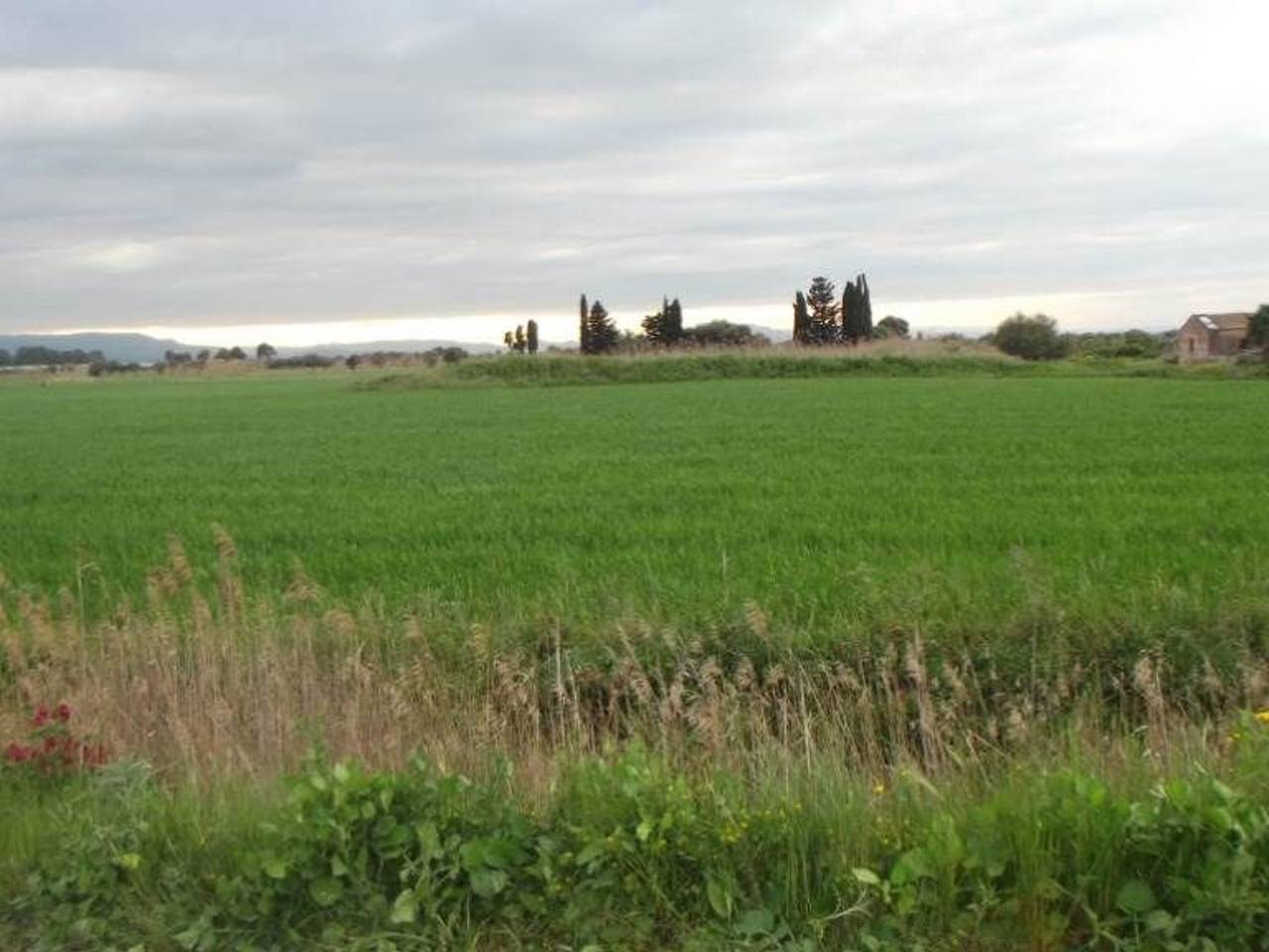 immagine annuncio 3 di 11