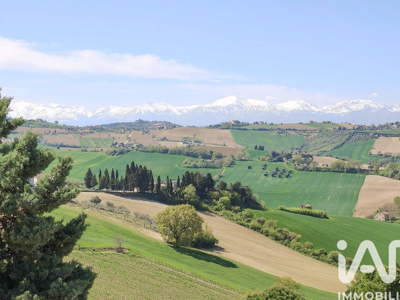 immagine annuncio 4 di 15