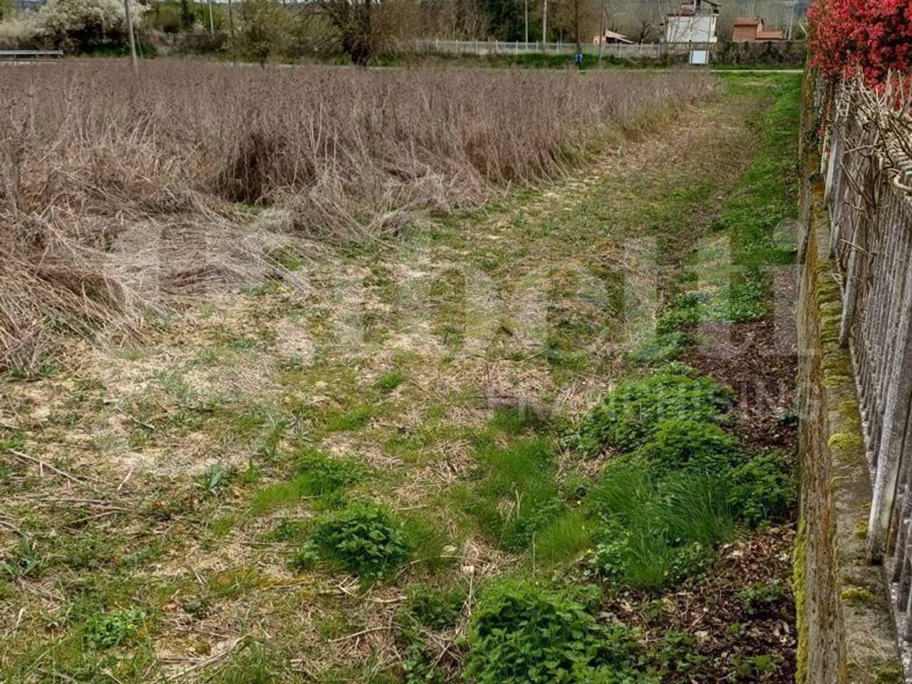 immagine annuncio 6 di 8