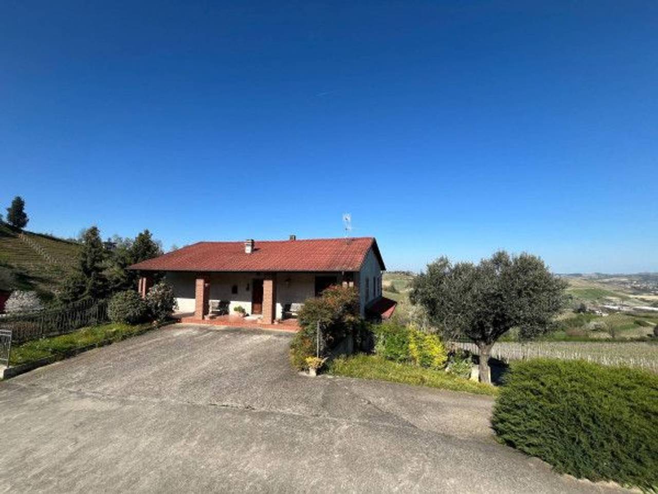 immagine annuncio 1 di 15