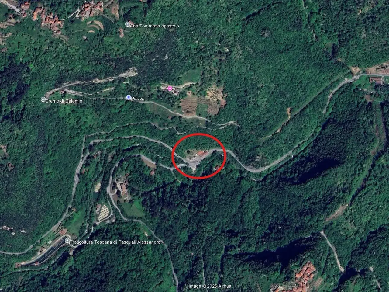 Negozio in Vignola, Fabbriche di Vergemoli, {3} - Planimetria 1