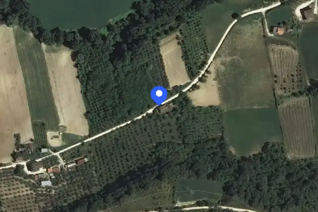 insertion image