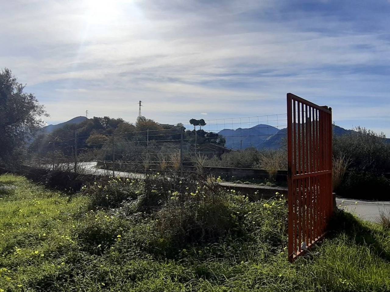 immagine annuncio 2 di 8