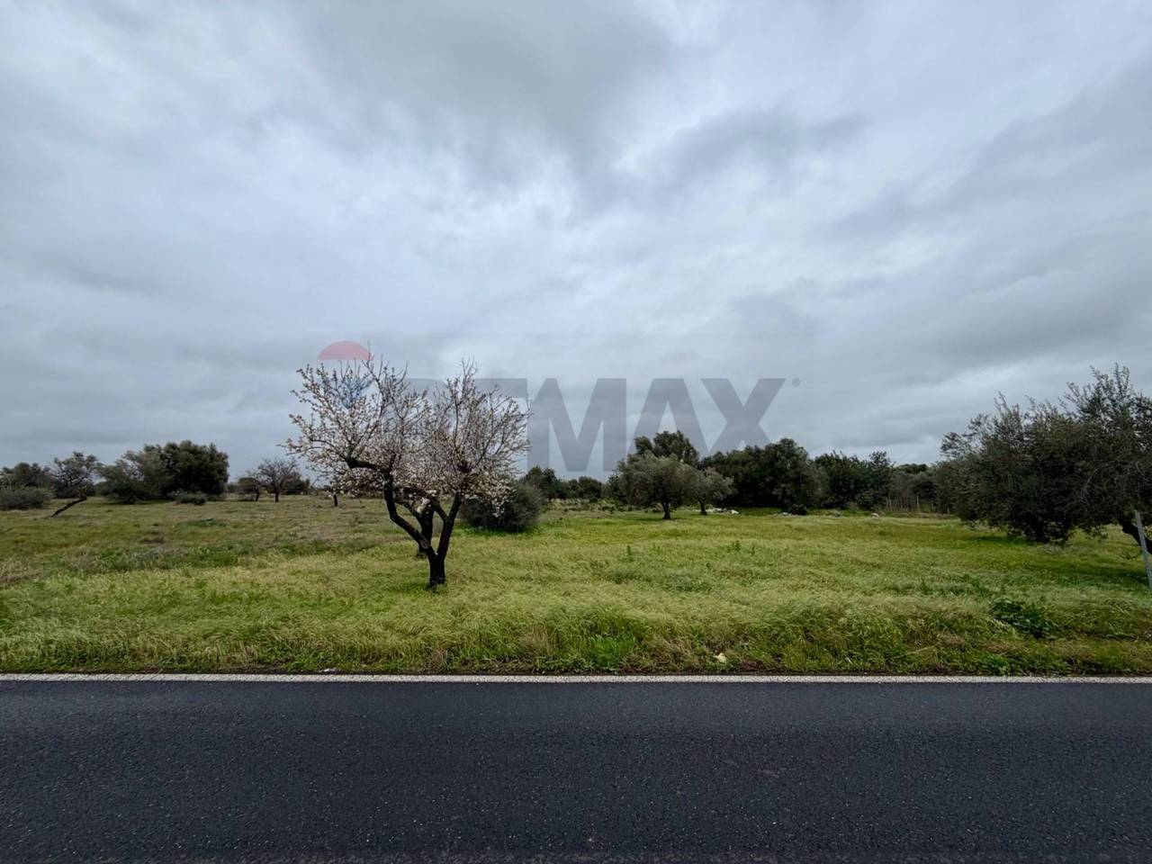 immagine annuncio 12 di 14