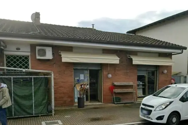 insertion image