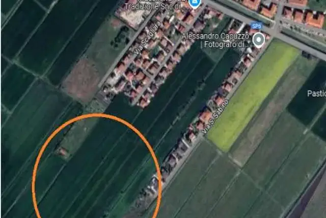 insertion image