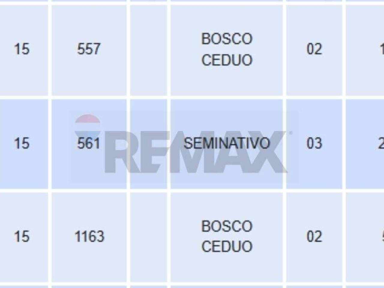 immagine annuncio 5 di 6