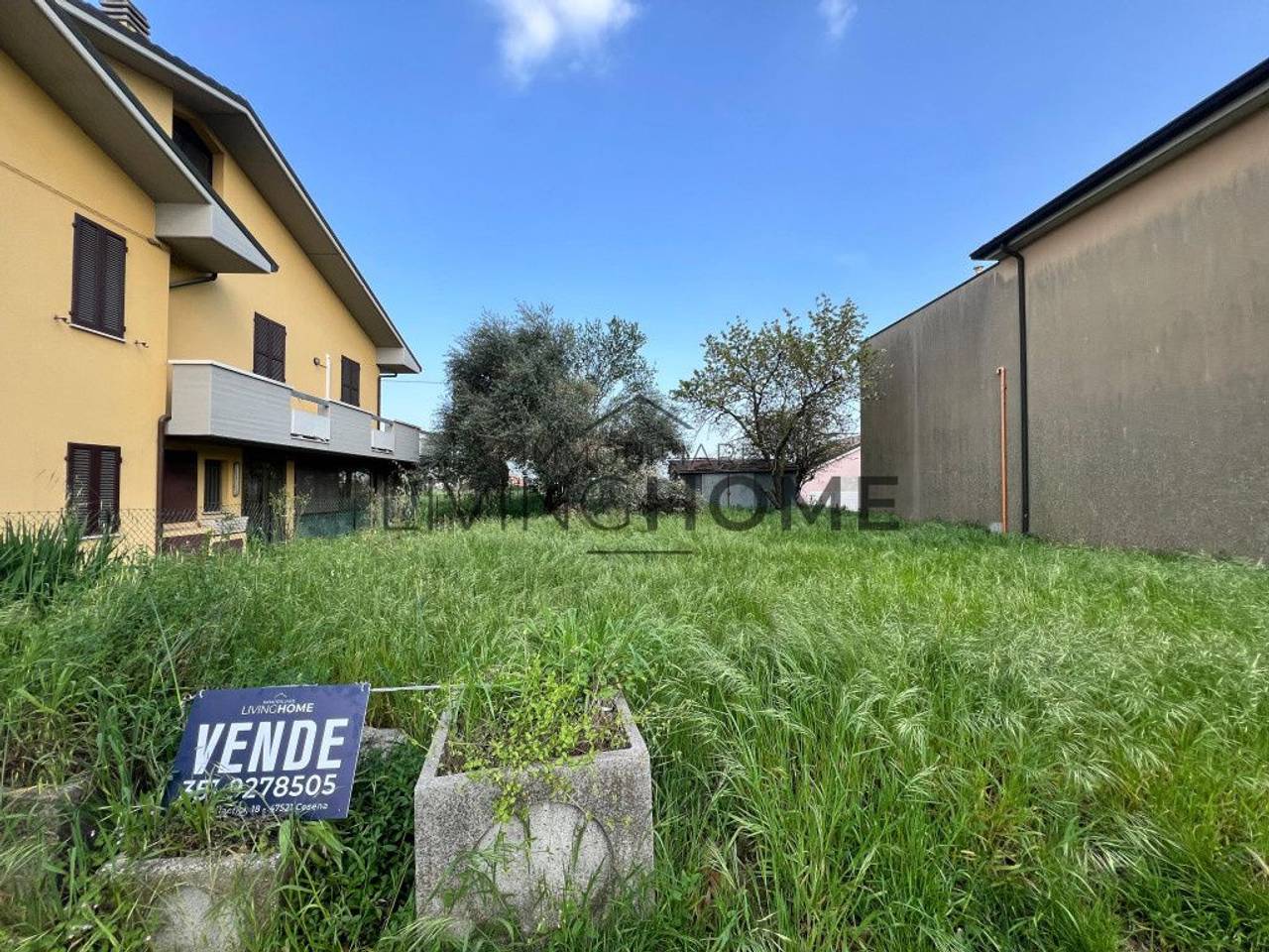 immagine annuncio 5 di 7