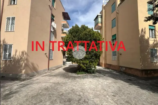 insertion image