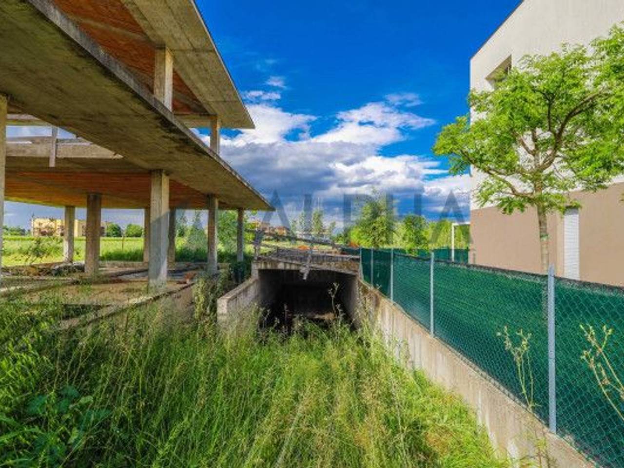 immagine annuncio 5 di 8