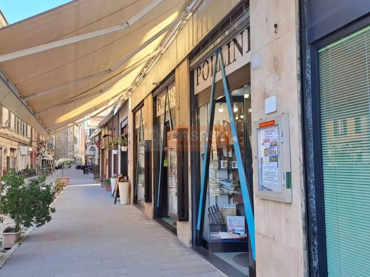 Articoli regalo - Casalinghi in Largo Doria, Albenga, {3} - Foto 2