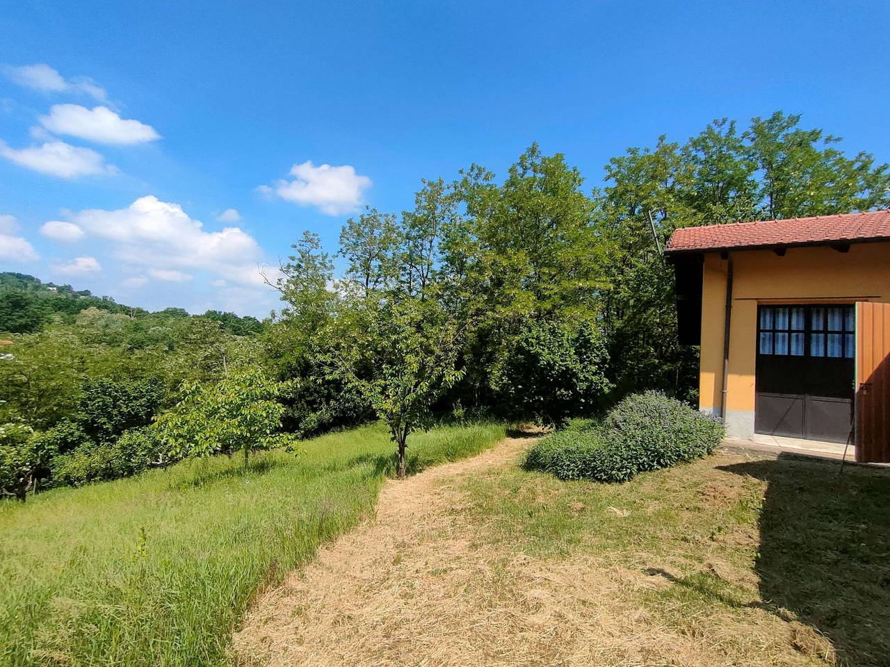 immagine annuncio 7 di 15