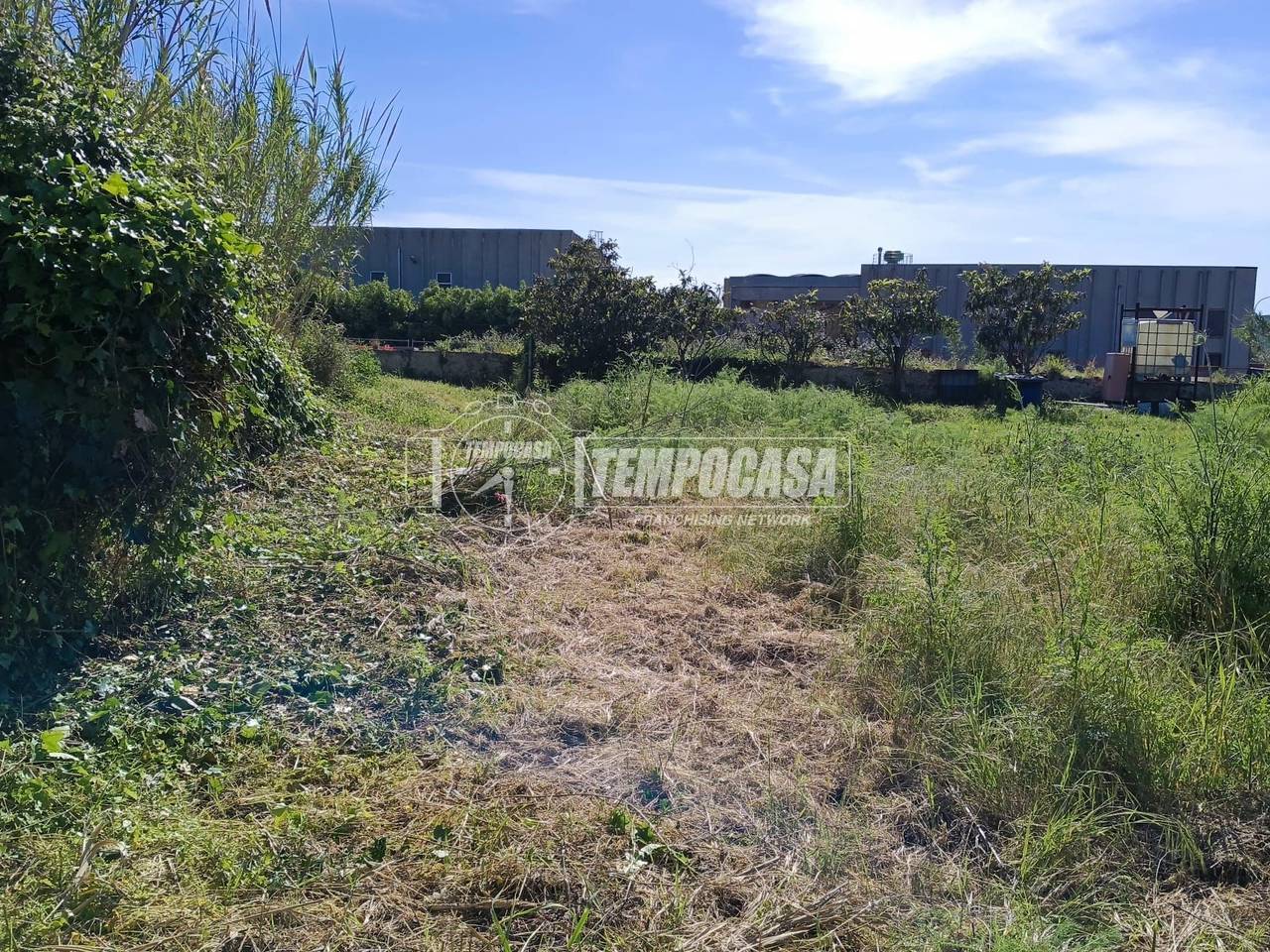 immagine annuncio 6 di 8