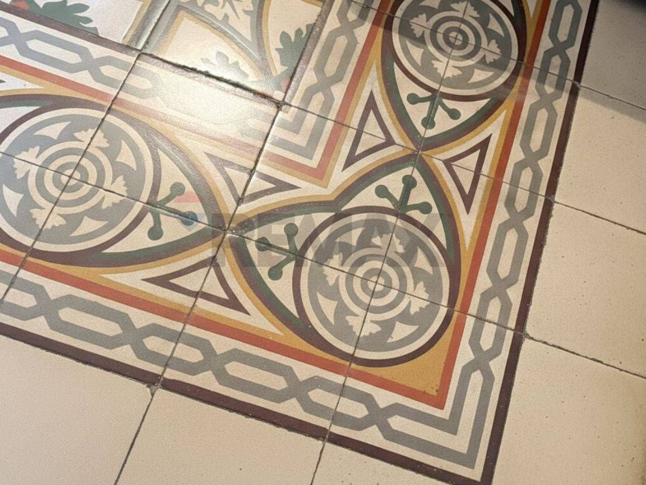 immagine annuncio 9 di 12