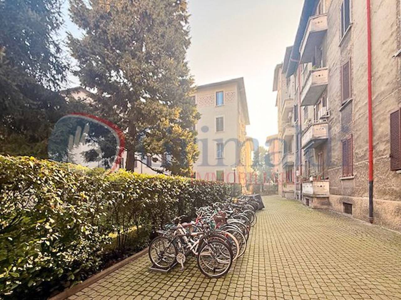 immagine annuncio 9 di 12