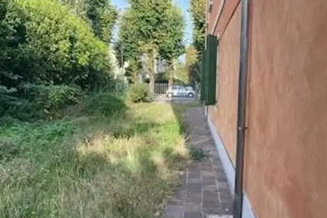 insertion image