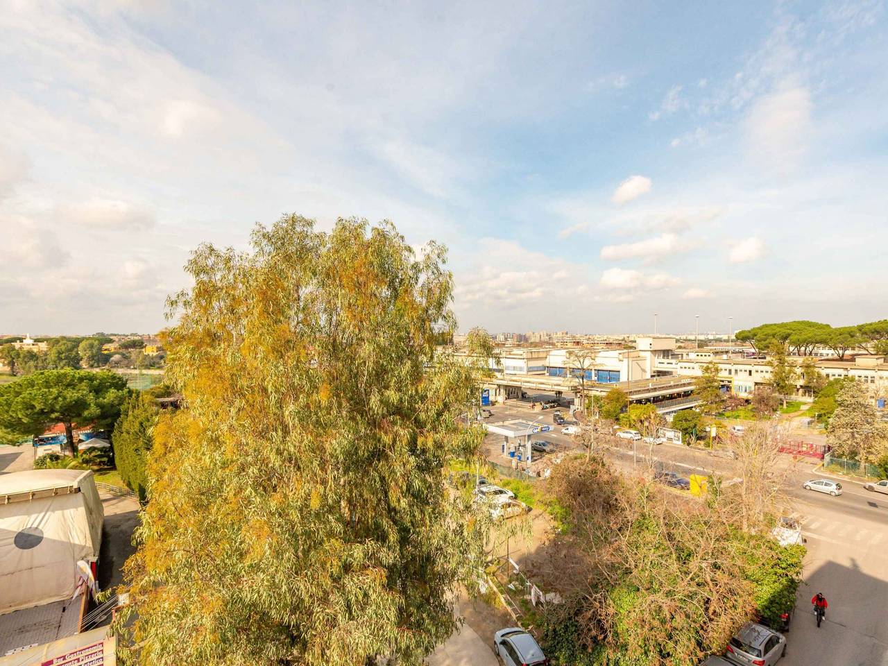 immagine annuncio 12 di 15