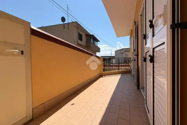 insertion image