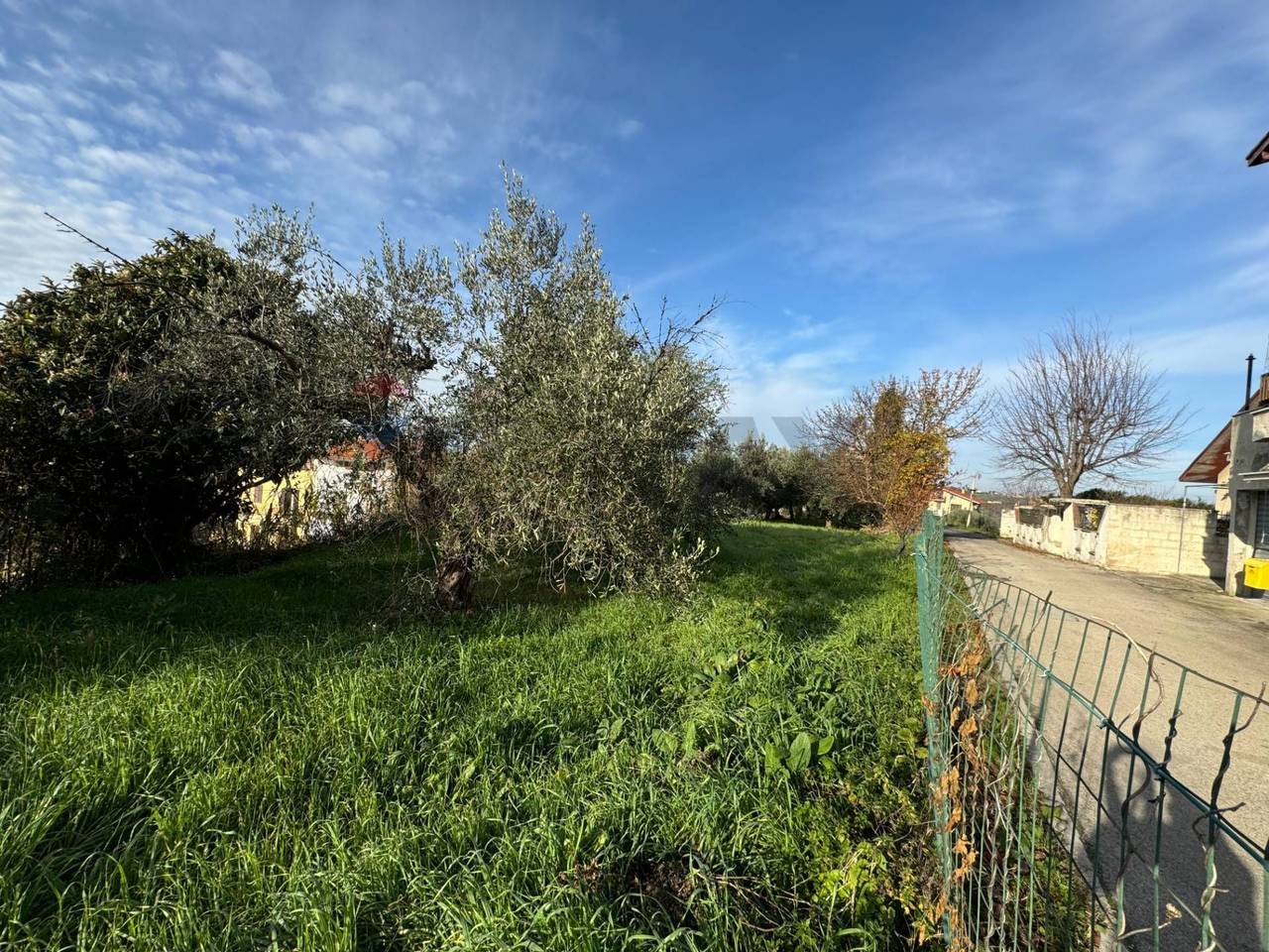 immagine annuncio 2 di 12