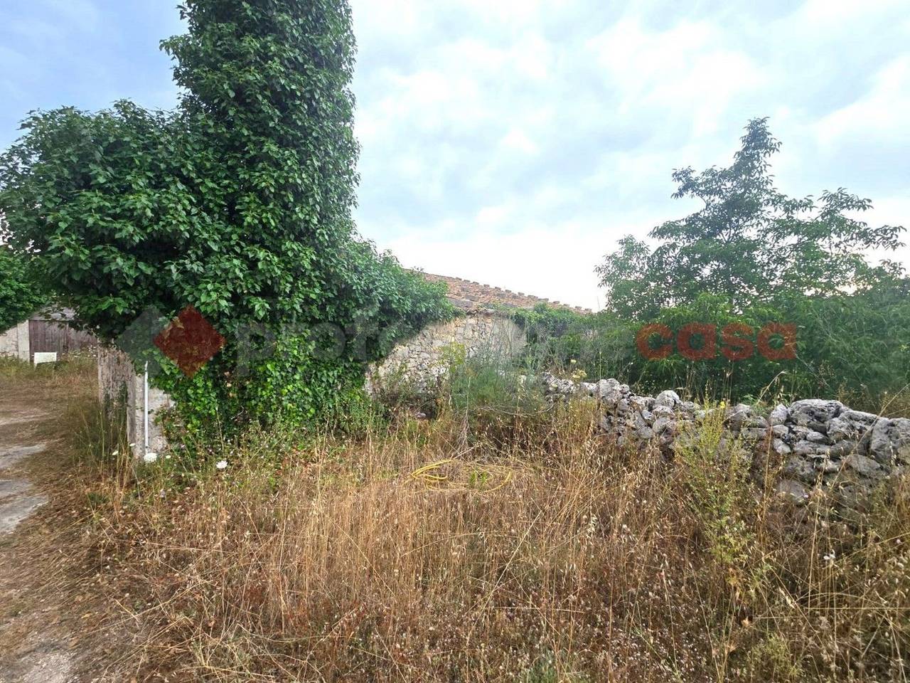immagine annuncio 12 di 14
