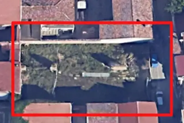 insertion image