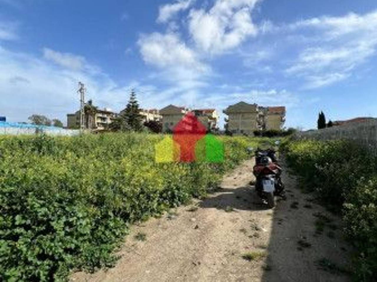 immagine annuncio 7 di 12