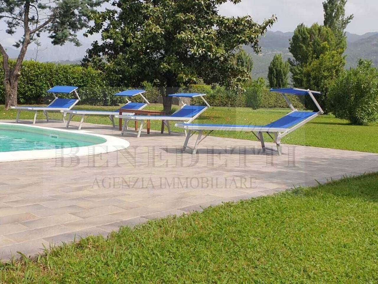 immagine annuncio 6 di 13