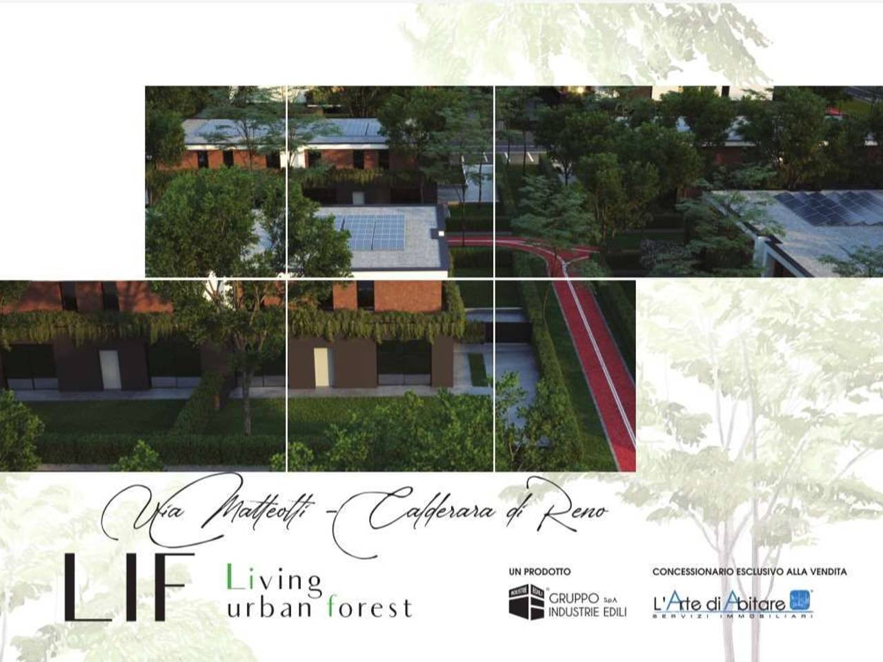 immagine annuncio 13 di 15