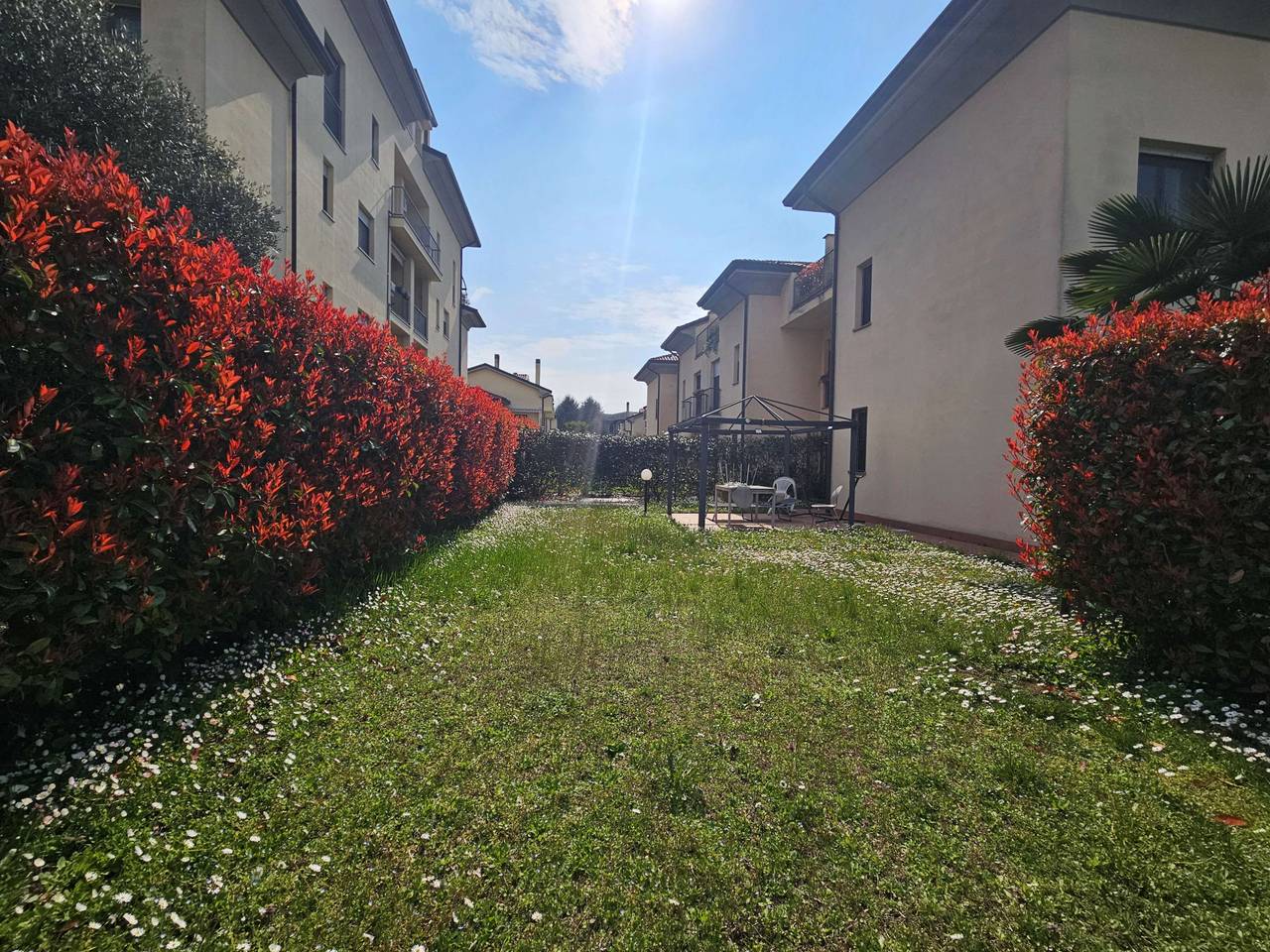 immagine annuncio 12 di 15