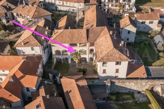 insertion image