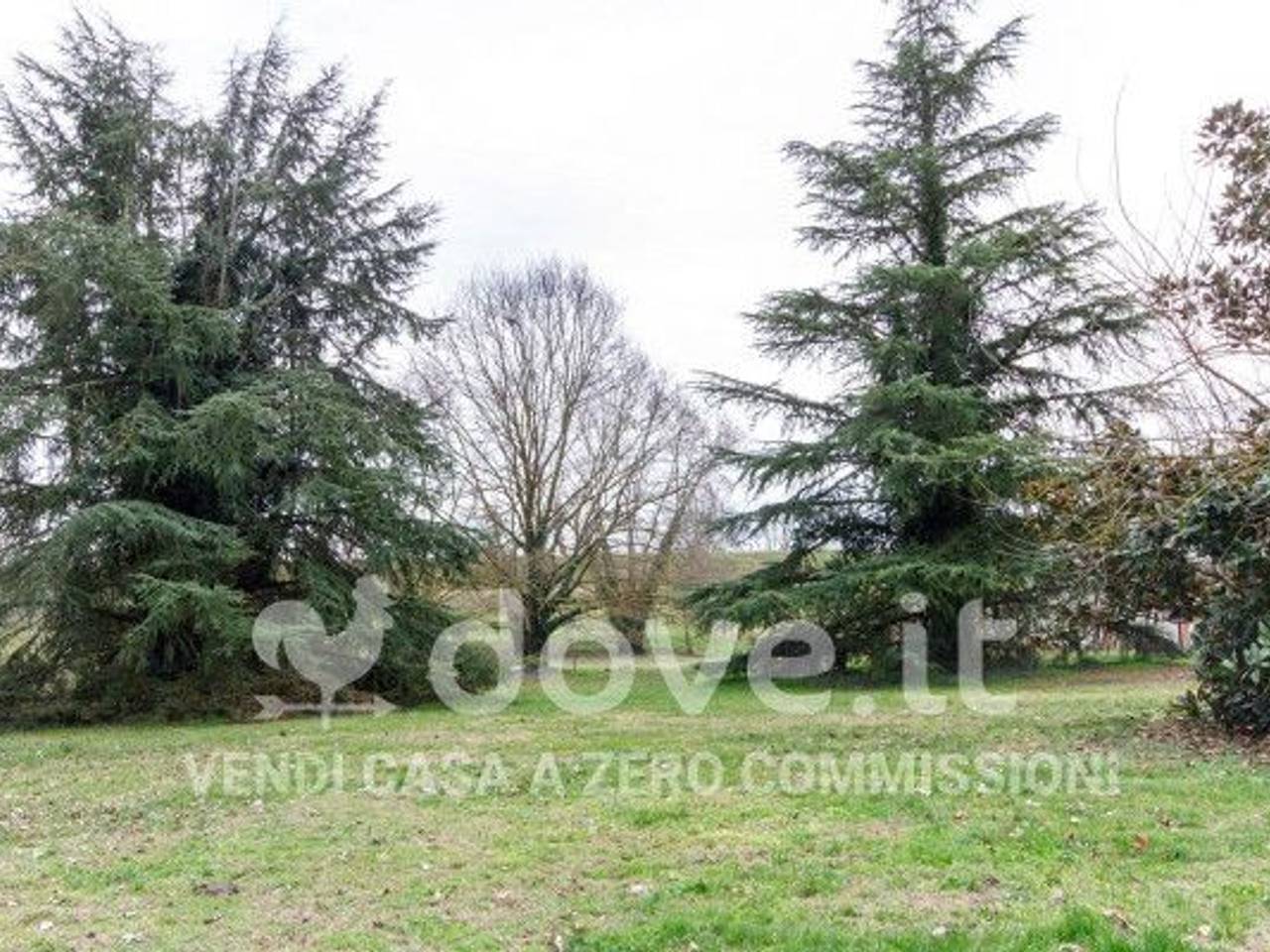 immagine annuncio 10 di 14