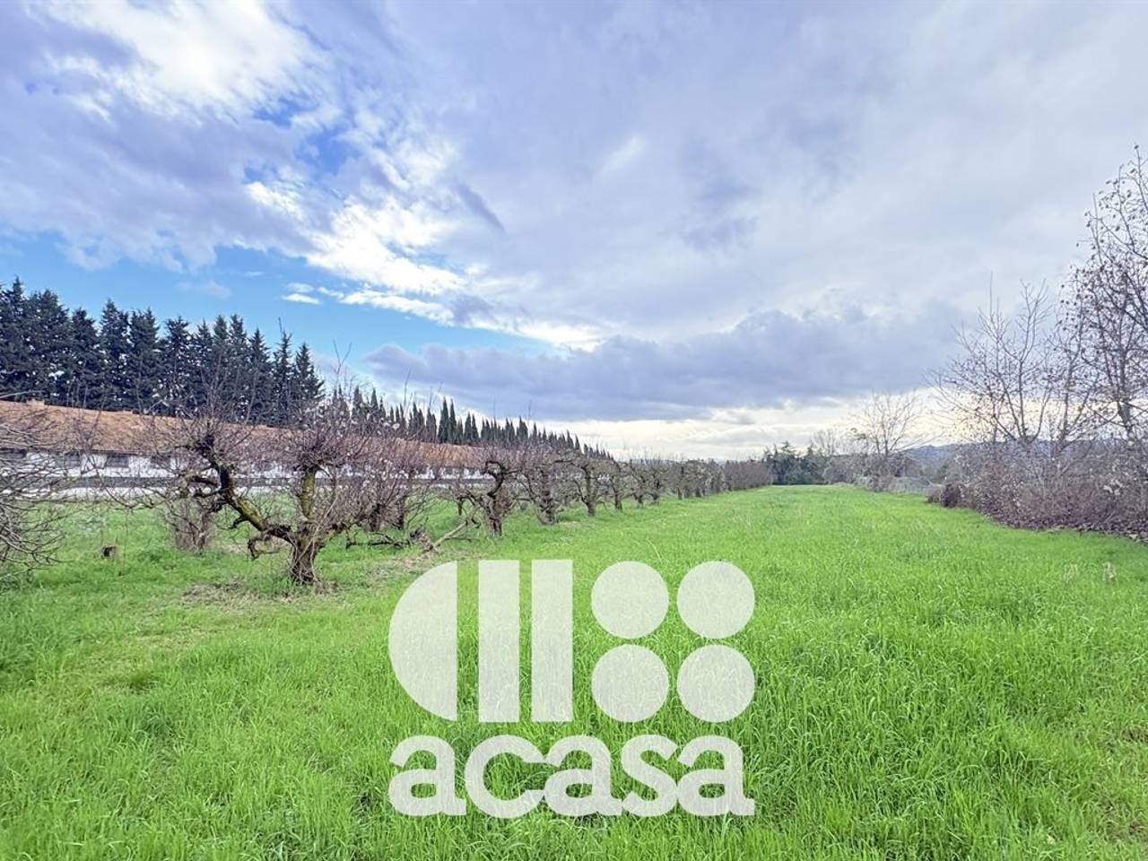 immagine annuncio 6 di 13